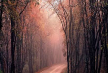 探索海南天涯论坛网址的小秘密，一起来唠叨唠叨这个有趣的地方吧！我记得第一次偶然点进去的时候，就感觉像回家一样亲切。