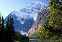 揭秘天涯娱乐圈神贴：那些年我们在天涯论坛追星的过瘾时光